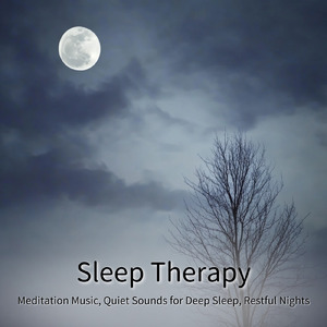 ヒーリング-眠りのアンビエント-