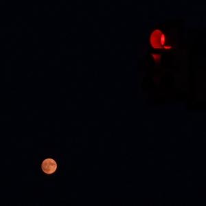 Cross at the Intersection