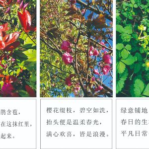 期盼寒假的时光2_伴奏
