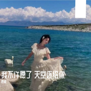 我不许愿了 天空还给你