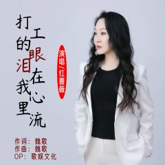 打工的眼泪在我心里流 (DJ小魏版)