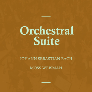 Orchestral Suite No.3 in D Major, BWV. 1068: II. Air
