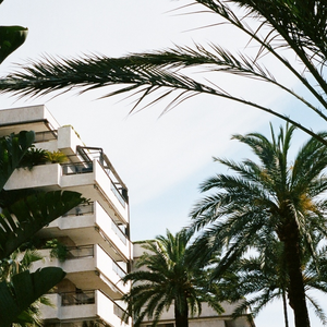 姑娘别哭泣(弹唱版)