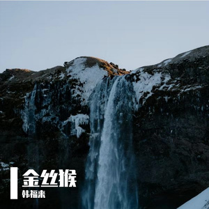 金丝猴PROD BY MEGA