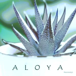 Aloya