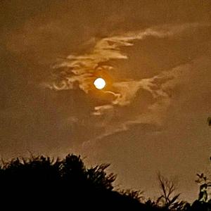 不晓得（Prod By LilSiren）