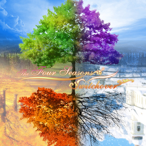 四季之夏夜鸣蝉