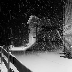 你说你不会哄人 于是我咽下了所有委屈