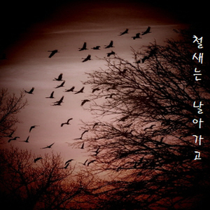 철새는 날아가고