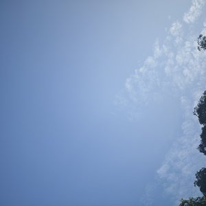 不该相遇在秋天