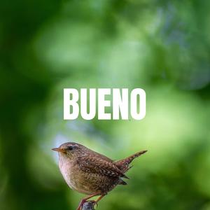 BUENOS