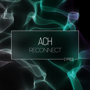 Reconnect (Original Mix)