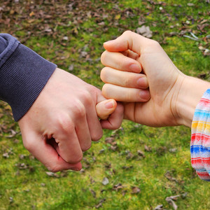 J'irai dans les Landes