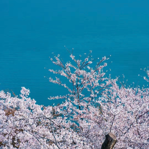 18（prod by Lakewavebeatz）