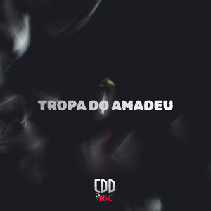 Tropa do Amadeu