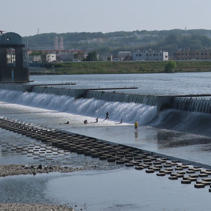 薄明かりの中で