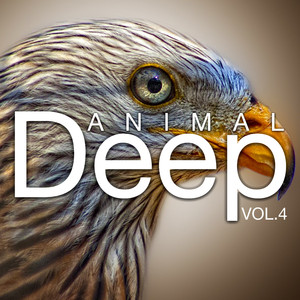 Hyperpassive (David Hilton's Deep Mix)