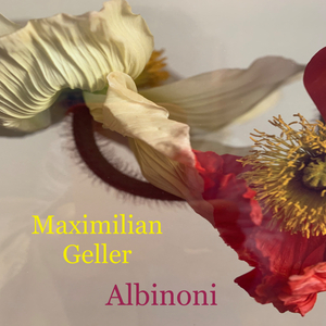 Albinoni (Single Edit)