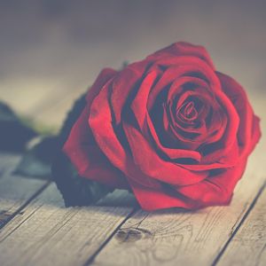 难以传达的心意（伴奏版）