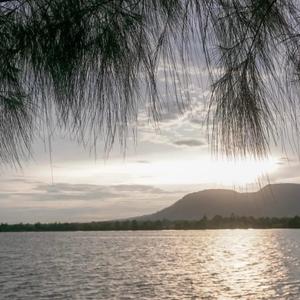 Cambodia Morning Cafe