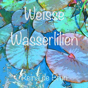 Weiße Wasserlilien