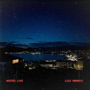 Wasted Love