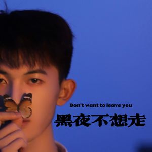 黑夜不想走Pro by AZYAIRE