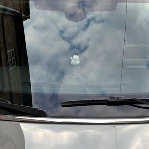 Calculate me and my wild size