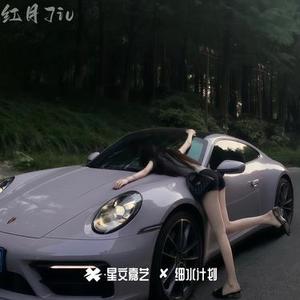 诗意难诉请