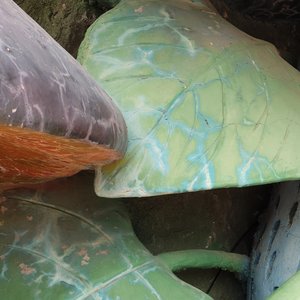 好听的话别太当真