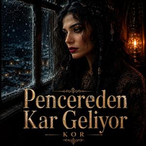 Pencereden Kar Geliyor