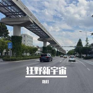 我的模样 (狂野新宇宙)