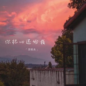 目中无人的土狗