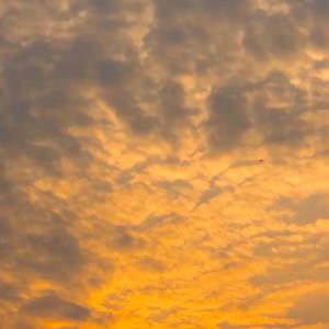 爱写歌的小田-回到夏天（Lay up / Mach.J remix）