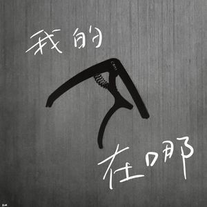 我的变调夹在哪