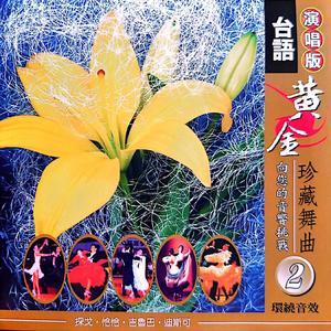 再会呀港都（迪斯可）