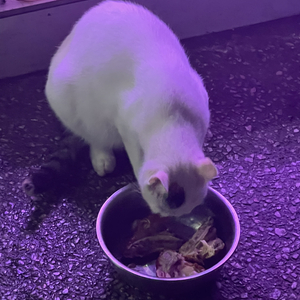 10.19我又算什么呢.wav