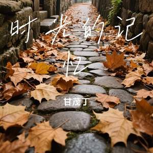 时光的记忆