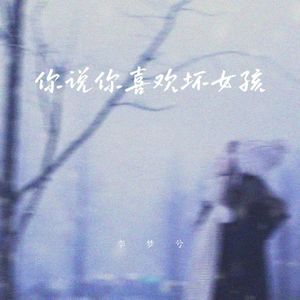你说你喜欢坏女孩