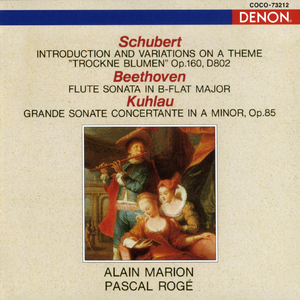 グランド・ソナタ・コンチェルタンテ イ短調 作品85: IV. ロンド; アレグロ・ポコ・アジタート