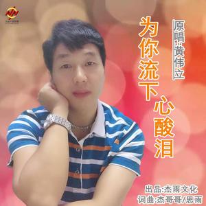 为你流下心酸泪-黄伟立 伴奏
