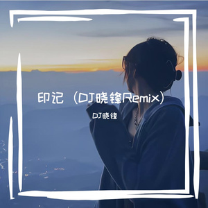印记（DJ晓锋 remix）