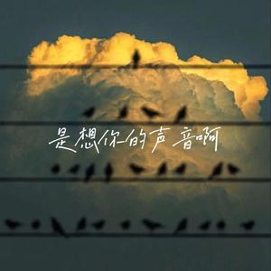 是想你的声音啊（R&B版）