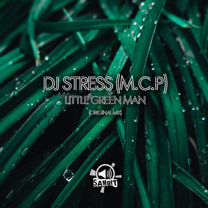 Little Green Man (Original Mix)