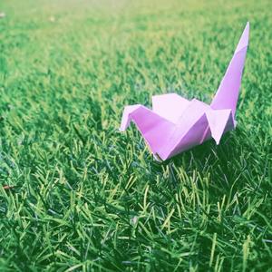 看不见你的夏天（prod by ZC）