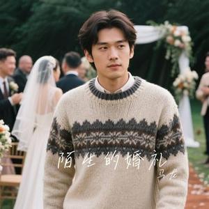 陌生的婚礼 (Cover 贰佰)