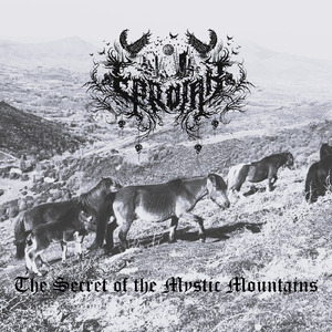 The Secret of the Mystic Mountains