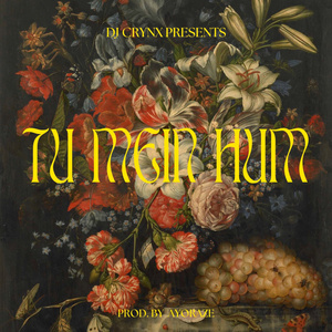 Tu Mein Hum