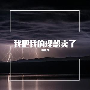 我把我的理想卖了