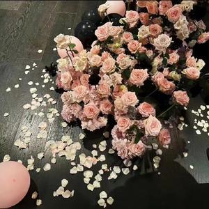 秋去冬来月如风（Remix慈怀版）